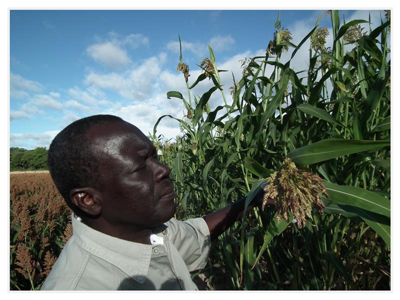 Portrait du Professeur Amadou Bocar BAL, Professeur Titulaire des Universités